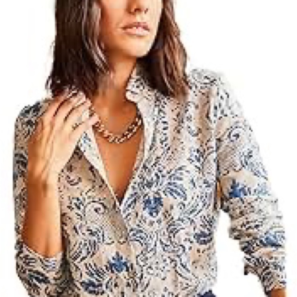 Big Dart Blouse